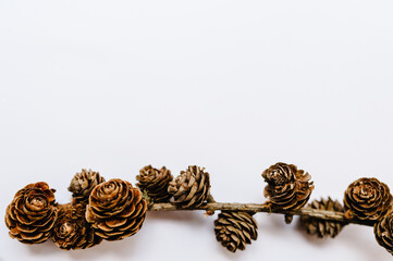 Christmas composition. Pine cones decorations on branches on wooden white background. Top view, copy space. Layout made of winter. Flat lay. Holiday season concept.
