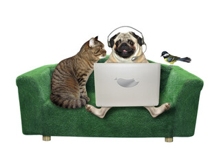 A pug dog in headphones and a cat are sitting on a divan and using a laptop. A bird is next to them. White background. Isolated.