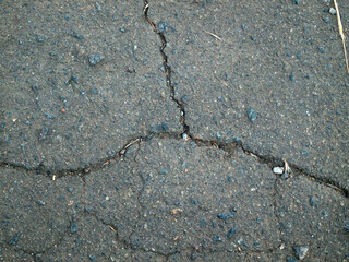 the crack in the pavement old road