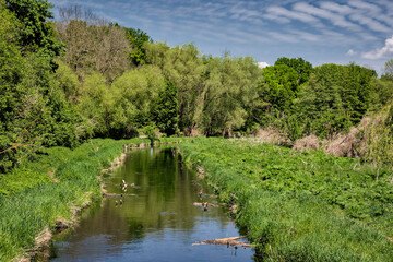 Wandern am Berliner Stadtrand: Blick von der Heidemühle auf das Neuenhagener Mühlenfliess