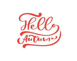 Hello Autumn red vector calligraphy text. Hand drawn fall lettering phrase. Illustration for greeting card or postcard print design. Template text design isolated on white background