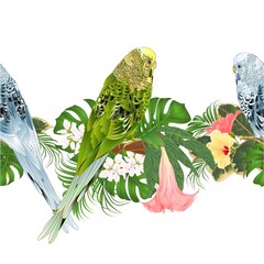 Tropical border seamless background green and blue Budgerigars, pet parakeets  and various hibiscus and Brugmansia vector Illustration for use in interior design, artwork, dishes, greeting card