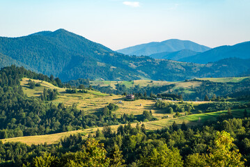 Naklejka premium beautiful mountain landscape in summer. Blue sky with clouds in the morning over a distant ridge. forest on a hillside. view of the valley.