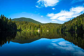 Lake Synevir. beautiful nature scenery outdoors. coniferous forest with tall trees on the shore, reflected in the steady water. mountain lake in summer. Blue sky with clouds. beautiful landscape