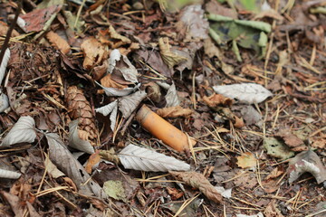 L'autre visage de la chasse