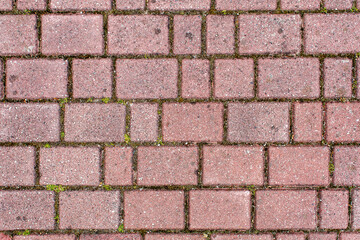 road paved with brown sidewalk tiles. texture of light gray bricks.