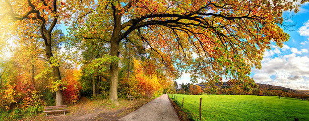 Colorful rural panoramic scenery in autumn