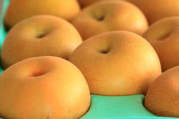 なし, 梨, ギフト, たくさん, 幸水, 豊水, 箱買い, みずみずしい, フルーツ, 果物, 秋の味覚, 秋の果物, 水分, 栃木, 栃木産, おいしそう, 甘い梨, デザート
