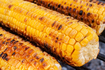 Ripe yellow grilled corn. Close-up. Macro