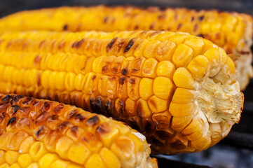 Ripe yellow grilled corn. Close-up. Macro