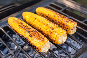 Ripe yellow corn is grilled. BBQ and grill