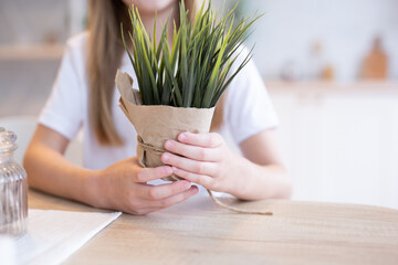 Obraz na płótnie Canvas pot of grass in the hands of a child