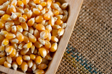Corn kernels in a bowl
