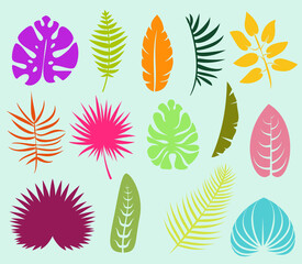 Fototapeta na wymiar Set silhouettes of tropical leaves in colorful vintage style. Minimalistic vector elements isolated on white background.
