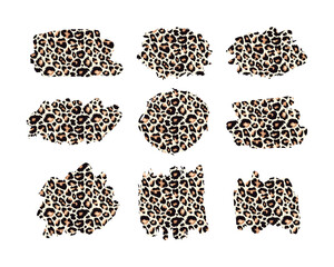 Hand drawn vector leopard pattern textured ink brush strokes, black paint spot set with leo texture. Animal paint smears artistic backgrounds. Stains shapes and silhouettes design element © Ketmut