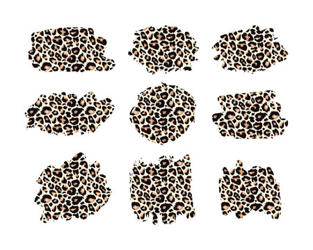 Hand drawn vector leopard pattern textured ink brush strokes, black paint spot set with leo texture. Animal paint smears artistic backgrounds. Stains shapes and silhouettes design element