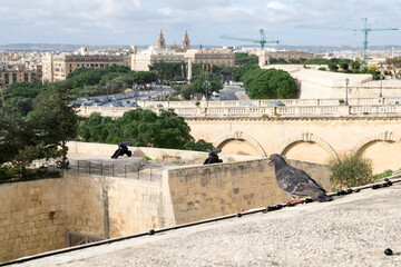 Naklejka premium The cityscape of the historical sandstone architecture in the old city of Valletta, the capital of Malta