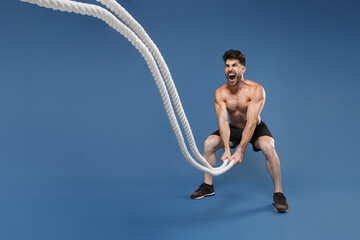 Full length portrait screaming young fitness sporty strong guy bare-chested muscular sportsman isolated on blue background. Workout sport motivation lifestyle concept. Working out with battle ropes.