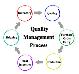 Components of Quality Management Process