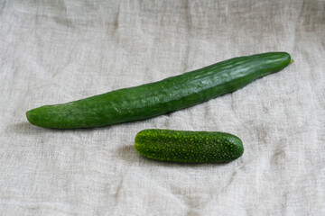 Gurken aus dem eigenen Garten, Gemüse selber anbauen und gesund leben, nachhaltiges handeln kann jeder. Gewächshausgurke, Freilandgurke, verschiedene Sorten.
