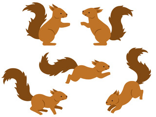 リスのイラストセット