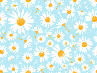 Seamless pattern with daisies on a blue background vector illustration.