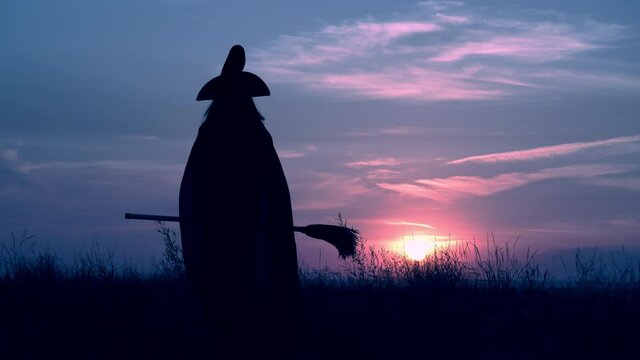 sorceress in cloak and hat holding broom have fun on field on the background a blue sky with clouds all saints night