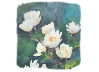 White Rose watercolor art flowers