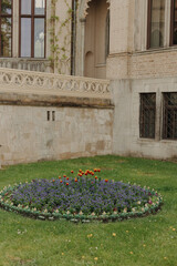 Potsdam