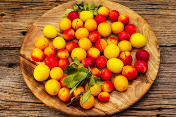 Harvest ripe cherry plum with seeds on wooden background