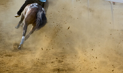 Cavalli al galoppo al Palio di Asti 