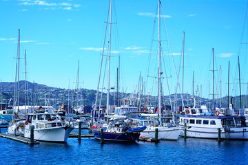 Fototapeta premium Sailing boats moored in marina near city centre of Wellington, New Zealand. Selective focus