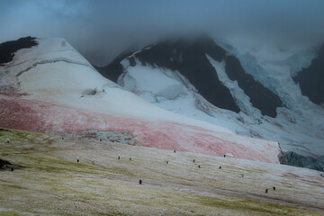 Snow covered mountains with penguins at Port Charcot, Antarctica © Kathy Huddle 