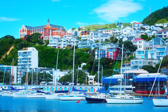 Picturesque view over city marina and historical suburb of Mount Victoria on a sunny day. Wellington, New Zealand.