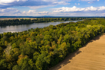 Der Mischwald entlang des Rheins in Deutschland zeigt anhand dieser Luftaufnahme noch kaum Waldschäden