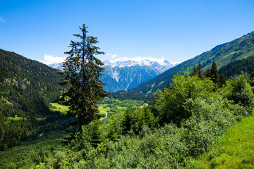 Fototapeta na wymiar Unique summer Alpine landscape in Swiss canton of Grisons with rocky mountain ranges and greenery on foothills