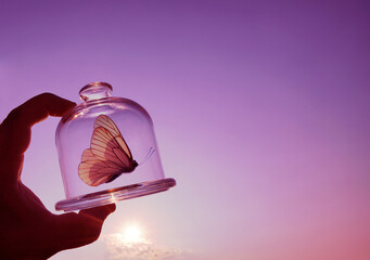 one butterfly fly inside glass jar into the air concept for fredom, peace and spirituality - Powered by Adobe