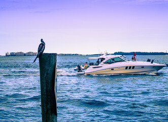 Miami, Florida/USA, 07/17/2020 -Individuals boat on the Miami South Channel near Brickell Key Park's waterfront, People on a boating outing in Miami near Brickell, Sun setting, Bird rests on pole © Shaheem