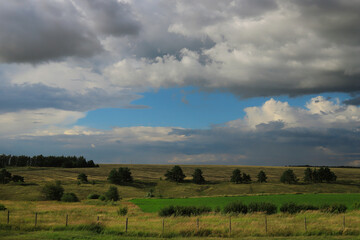 beautiful summer landscape with spacious wheat fields and forests