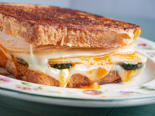 Sandwich con pavo y queso fundido
