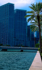 Tilt- Up shot of buildings near the Miami South Channel in Brickell Miami, Florida, Exterior shot of buildings, the Brickell Drive bridge, and palm trees near the Miami South Channel during the day