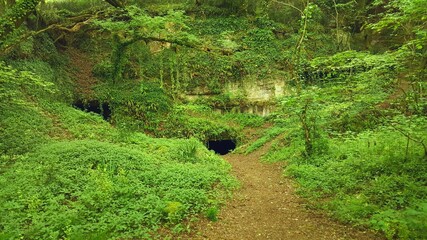 For&ecirc;t &agrave; Latresne