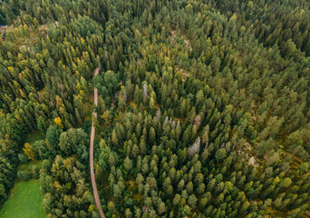 Aerial view to autumn classic Finnish landscape in Nuuksio national park