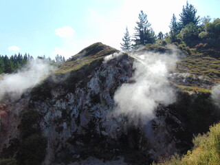 SPRING WATER. NEW ZELAND