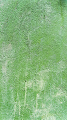Abstract green background wall stucco