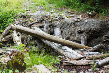 Ruined wooden bridge over the river. Soil dryness and flooding. Natural disasters. Consequences of deforestation. Nature. Trees. Danger. Summer, Autumn, Spring. A bunch of trees.
