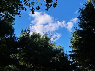 Nature, landscape, blue sky