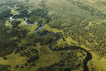 A winding river flows among forests and meadows. Drone shot