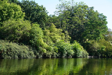 Grüne, sonnige Wasserlandschaft der Landwehrkanals in Berlin