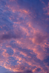 vertical view to the pink clouds in blue sky with copy space